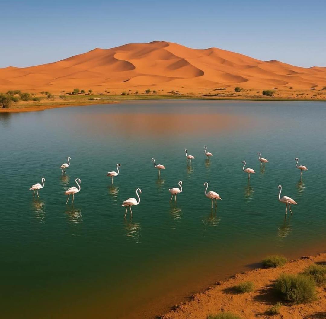Salambo Tente Merzouga Buitenkant foto